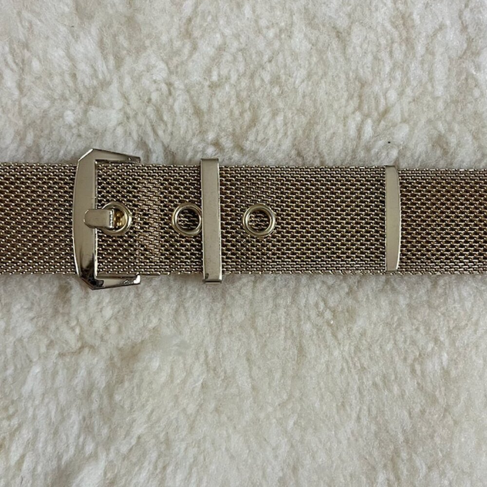 GOLD - Slinky - Vintage Belt
